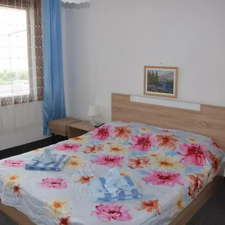 Guest Didi Balchik